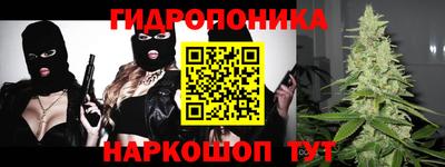шишки Чебаркуль